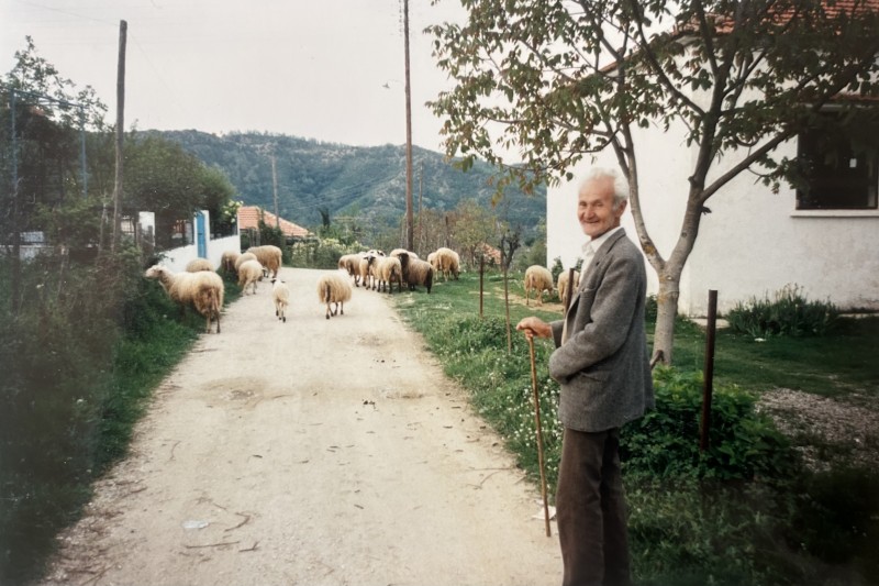 Svärfar Alexandros med sina får i byn Θεριακήσι.