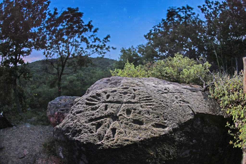Prehistoric rock carvings