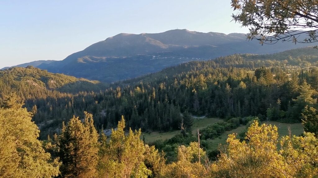 Grekiska örter på Underbara Lefkas