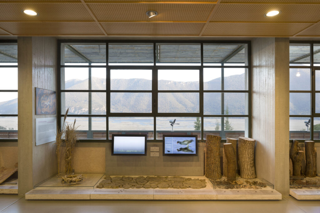 Panoramic view from the glass facade of the Environment Museum