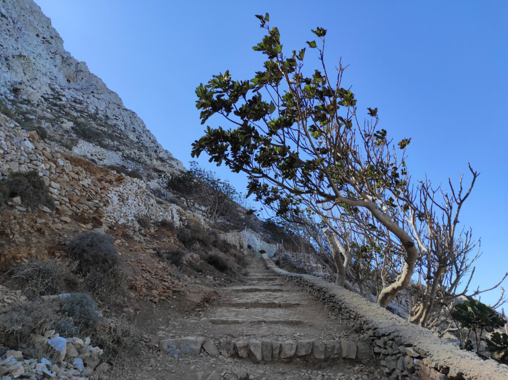 Vi byn Potamos, Amorgos