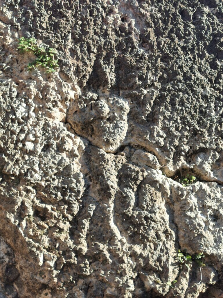 the relief of the god Pan.